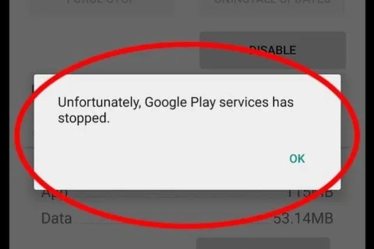 Mengatasi Masalah Play Store yang Tidak Bisa Dibuka dengan Cepat dan Benar