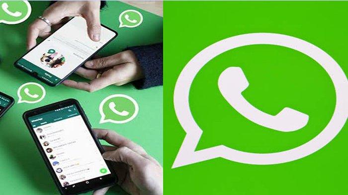 Tips Pakai 1 Akun WhatsApp Pada 4 Smartphone Termasuk Iphone dan Android