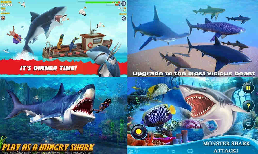 8 Game Ikan Hiu Terbaik yang Wajib Dicoba