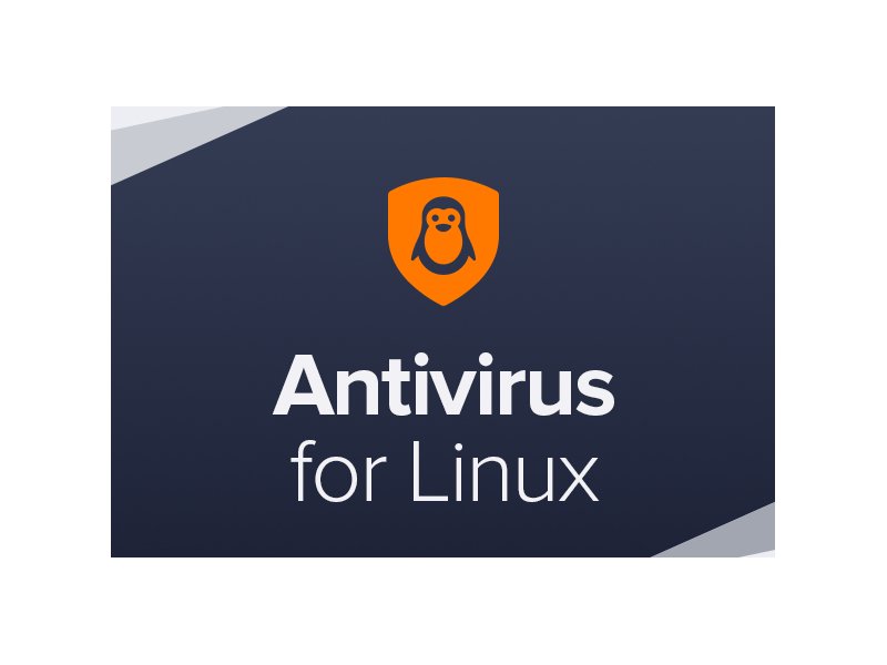 4 Antivirus Terbaik untuk Linux, Agar Tak Mudah Terserang Malware!