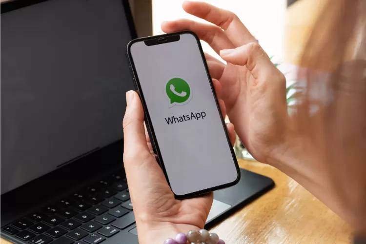 Mudah Banget! Cara Gunakan Fitur Favorit di WhatsApp