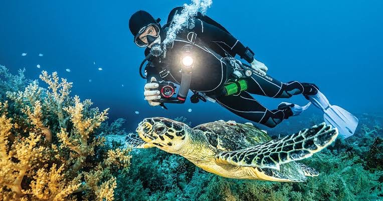 10 Alat Fotografi Bawah Air yang Harus Kamu Punya, Penting Banget!