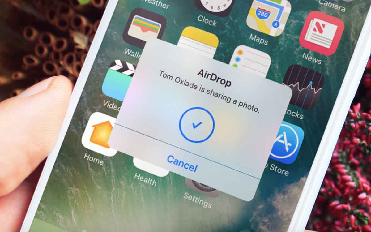 4 Cara Mengatasi Airdrop Menunggu Terus dan Tidak Bisa Menerima Data di iPhone