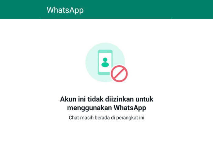 Tidak Melakukan Pelanggaran Tapi WhatsApp Terblokir? Ini 2 Tips Mudah Untuk Mengatasinya!