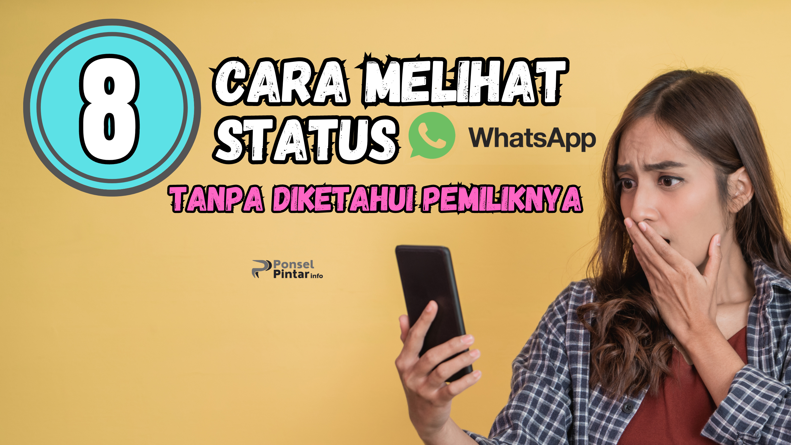 8 Cara Melihat Status WA Tanpa Diketahui Pemiliknya