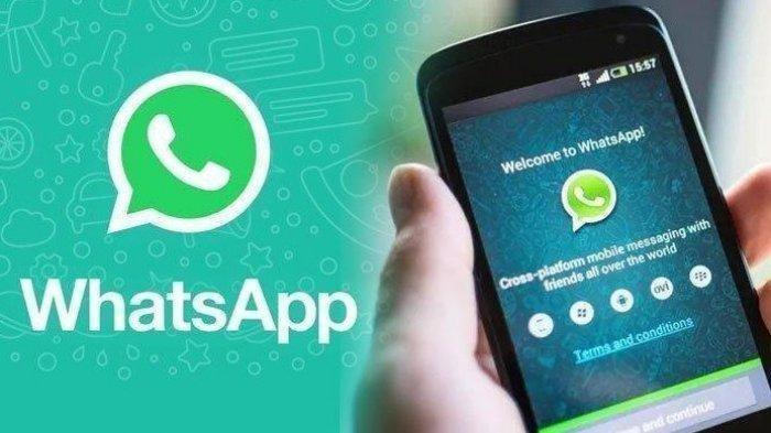 Mau Ganti Nomor Tapi Takut Kontak Dan Chat WhatsApp Hilang? Begini Cara Mengembalikannya!