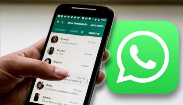 Cara Mudah Temukan File Backup WhatsApp di Hp dan Laptop