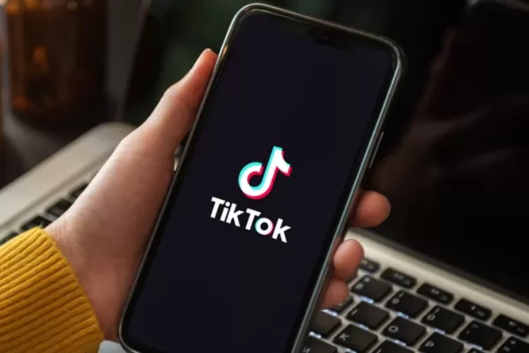 2 Akun Dalam 1 Aplikasi TikTok Emang Bisa? Begini Cara Mudahnya!