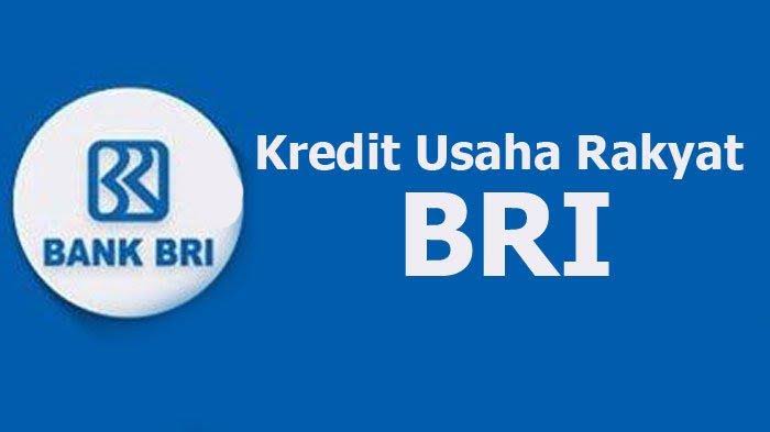 Ternyata Ini Penyebab Pinjaman KUR BRI Kamu Ditolak! Cari Tahu Solusinya Disini