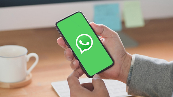 Meta Akan Hadirkan Pembaharuan Design dan Tema di WhatsApp