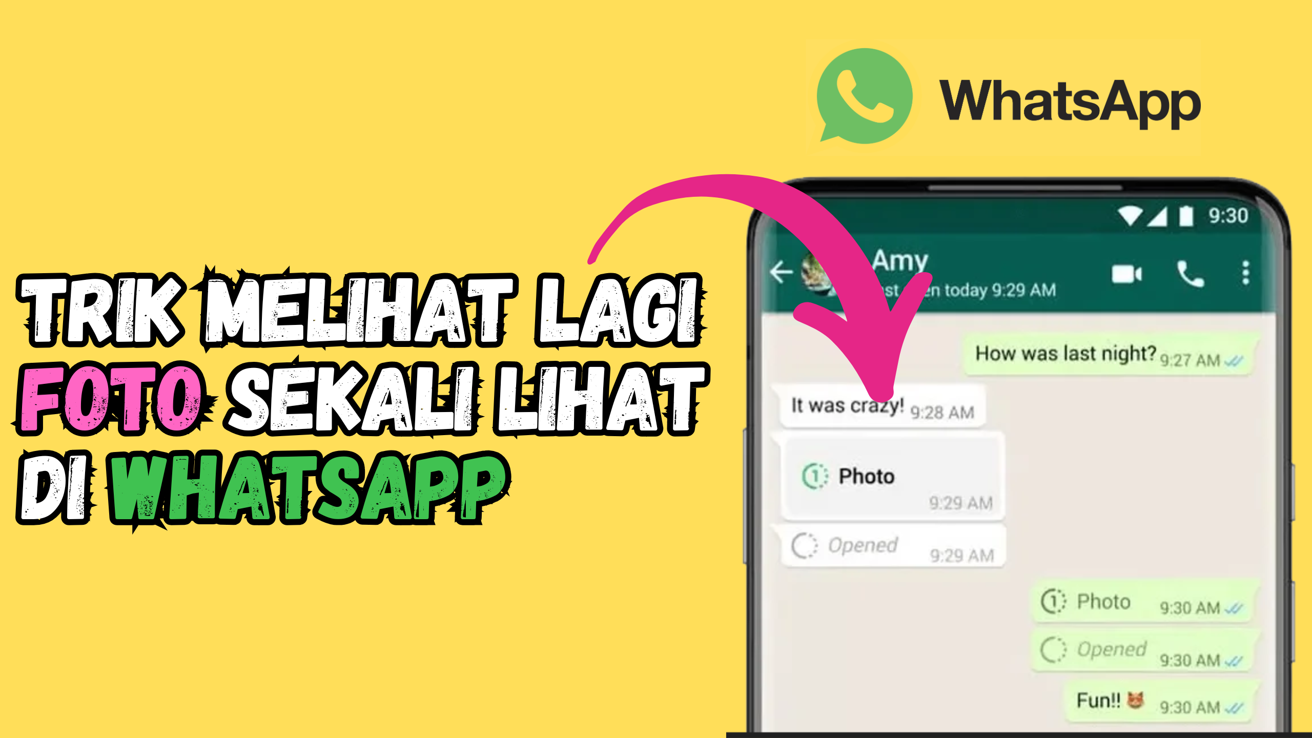 Cara Menyimpan Foto dan Video Sekali Lihat di WhatsApp