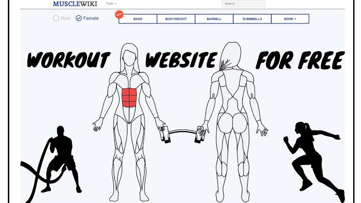 Pilih Nge-Gym atau Ngebenerin Barang? 2 Website Ini Fix Bisa Bantu Kamu