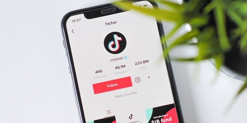 Tanpa Aplikasi Tambahan Begini Trik Agar Followers Tiktokmu Naik