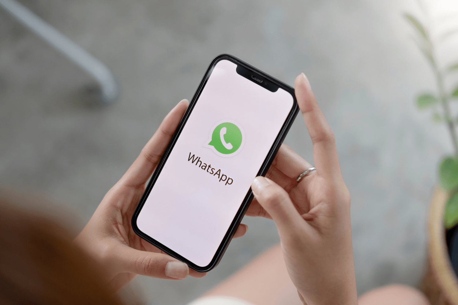 Biar Nggak Ketahuan Online! Begini Cara Bikin WhatsApp Terlihat Offline