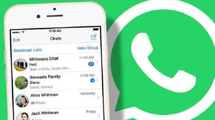 Trik Rahasia Mengetahui Kontak Yang Sering Dihubungi Doi Di Whatsapp