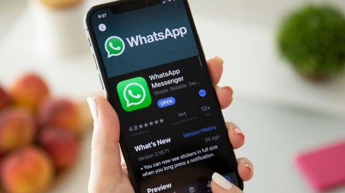 Jangan Sampai Ketinggalan! Yuk Cobain Fitur Terbaru Whatsapp Yang Bikin Melongo!