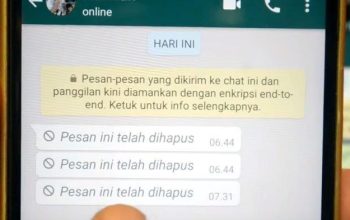 Penasaran Dengan Chat WA Yang Dihapus Pengirim? Begini Cara Membacanya!