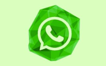 WhatsApp Makin Canggih! Panggilan Lebih Privat dengan Fitur Mute & Matikan Kamera