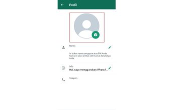 Kenapa Banyak yang Pilih PP WA Kosong? Ini Alasannya, Bukan Karena Nggak Punya Foto!