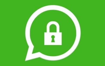 Kepo Maksimal! Begini Cara Tau Siapa yang Sering Lihat Profil WhatsApp Kamu