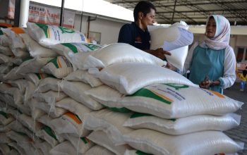 Bansos Beras 20Kg Mulai Disalurkan, Segera Cek Penerima Pakai KTP!