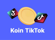 Cara Top Up Koin TikTok Lewat E-Wallet: DANA, ShopeePay, hingga GoPay