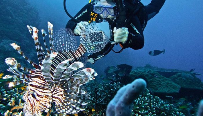 Ide Prompt Gemini AI Buat Edit Foto Diving di Laut