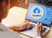 Cara Download Video TeraBox Tanpa Aplikasi di HP dan PC