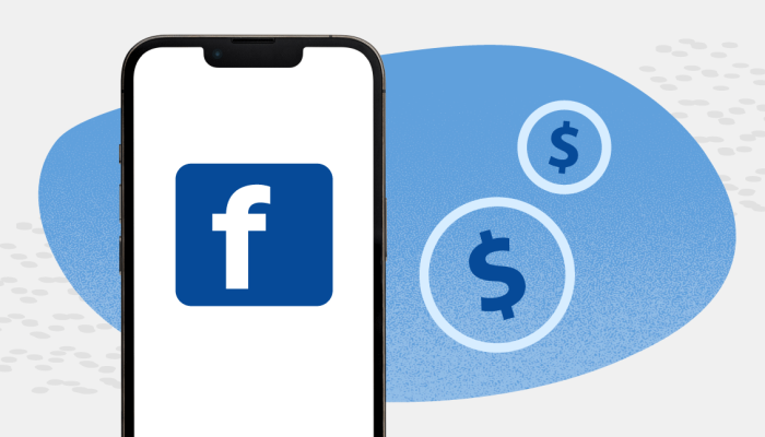 5 Cara Mengatasi Mode Profesional Facebook (FB Pro) Nggak Muncul