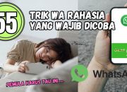 55 Trik WA Rahasia yang Wajib Dicoba