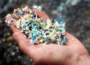 Ancaman Mikroplastik Bahayakan Kesehatan Manusia