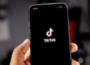Alasan Akun Tiktok Kamu Terkena Banned dan Cara Mengembalikannya