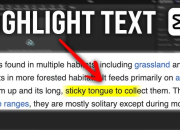 Cara Membuat Efek Stabilo di CapCut, Biar Teks dan Video Kamu Lebih Menonjol!