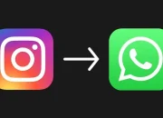 Cara Bikin Tombol WhatsApp di Instagram, Biar Followers Bisa Chat Langsung!