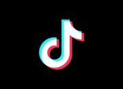 Simpan Video TikTok Favoritmu Tanpa Logo, Cuma Butuh Beberapa Detik!