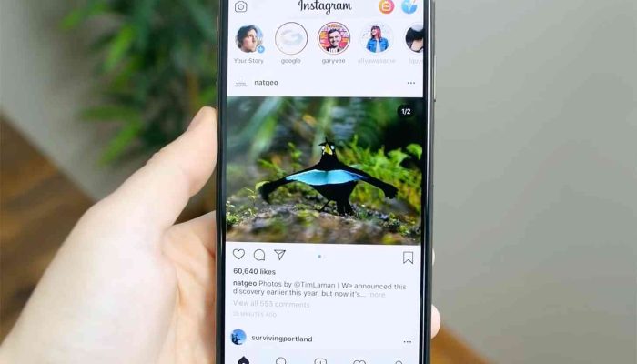 Cara Mudah Sembunyikan Jumlah Like di Instagram Buat Jaga Kesehatan Mental