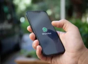Anti Panik! Begini Cara Menyelamatkan History Chat WhatsApp dengan Backup Otomatis