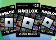 Cara Redeem Roblox Gift Card Yang Benar Buat Pemula Supaya Saldo Nggak Hilang