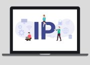 4 Cara Cek IP Address WiFi di Laptop dan HP dengan Praktis