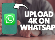 3 Trik Rahasia Status WhatsApp Biar Gambarnya Jernih 4K