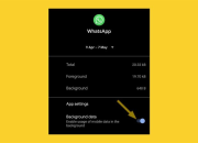Cara Menyembunyikan Aktivitas WhatsApp Tanpa Harus Offline dan Tetap Terlihat Normal