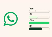 Cara Pakai Polling WhatsApp Buat Ambil Keputusan Cepat di Grup