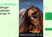 Fitur Status WhatsApp Sekarang Punya Opsi Privasi Lebih Fleksibel