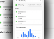 WhatsApp Ternyata Bisa Dipakai Buat Tracking Informasi Penting