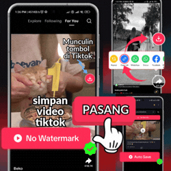 Download Video Tiktok Tanpa Watermark Gratis