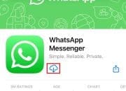 5 Tanda WhatsApp Kamu Alami Bug Aneh