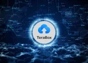 Tanpa Aplikasi Tambahan! ini Cara Unduh Video Di TeraBox