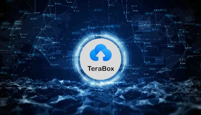 Tanpa Aplikasi Tambahan! ini Cara Unduh Video Di TeraBox
