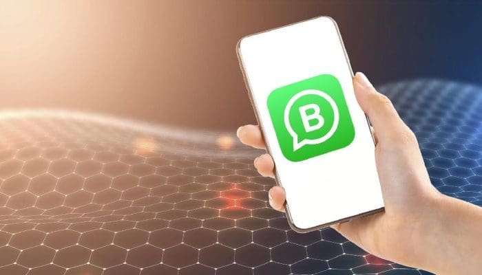 Cara Kembali Ke WA Pribadi Setelah Menggunakan WA Bisnis