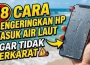 18 Cara Mengeringkan HP Masuk Air Laut Agar Tidak Berkarat